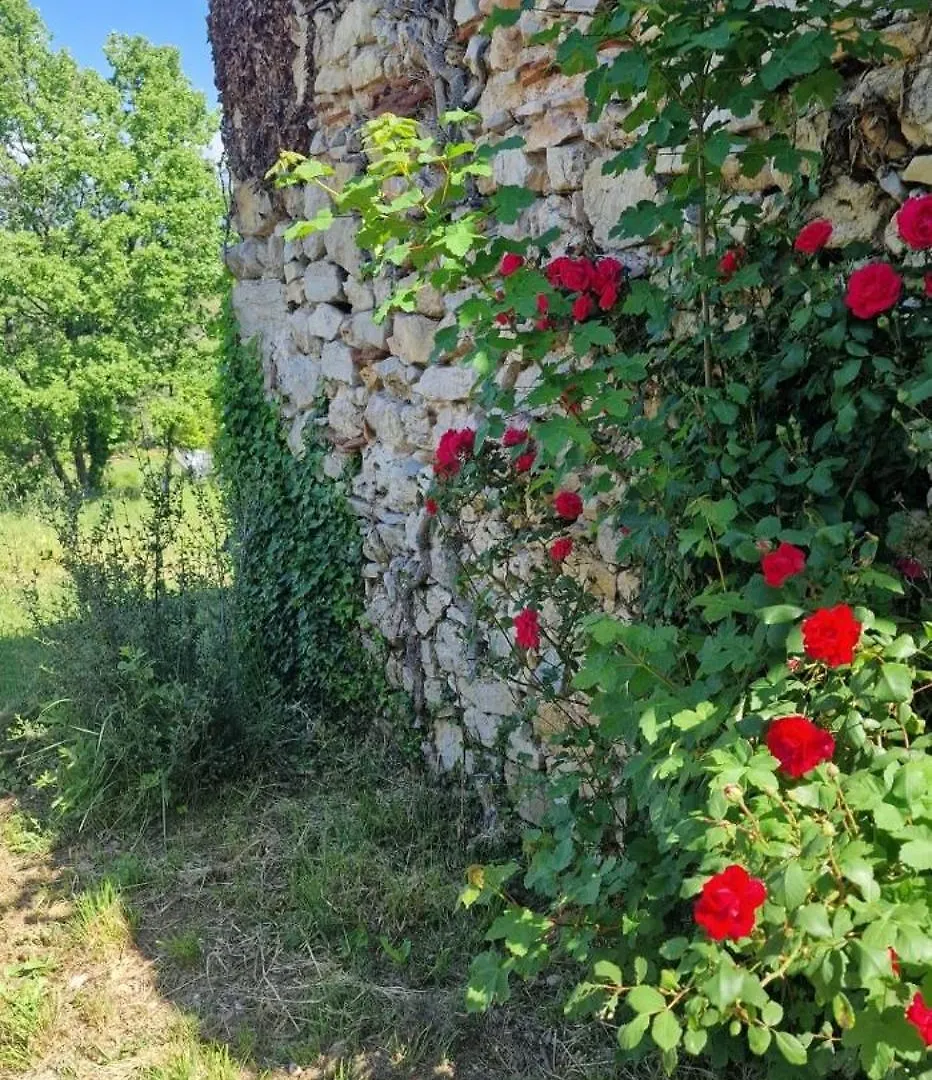 Le Petit Marius Villa Fayence Semesterbostad